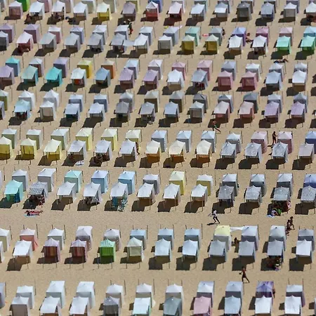 Apartament Casa Marques *